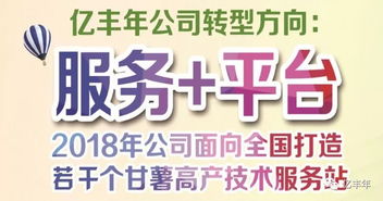 2019全国征集甘薯一站式技术服务站 助推甘薯产业高质量发展
