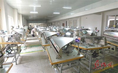 图片新闻 技术服务一线行——科技赋能田间地头